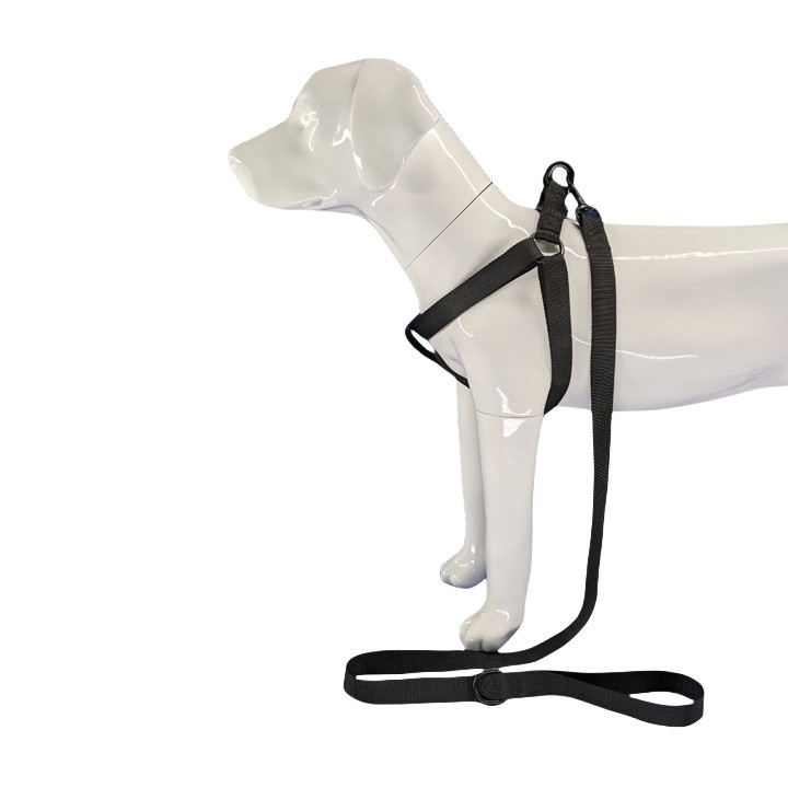 Szelki dla czarnego psa