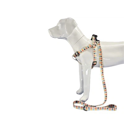 Szelki dla psa z nadrukiem