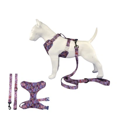 Szelki i smycz dla psa