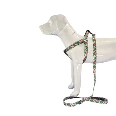 Szelki dla psa typu kantar