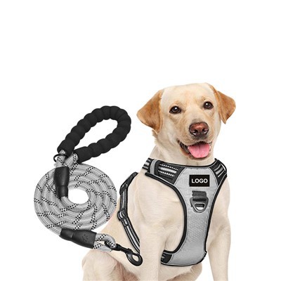 Niestandardowy zestaw uprzęży i ​​smyczy dla psa