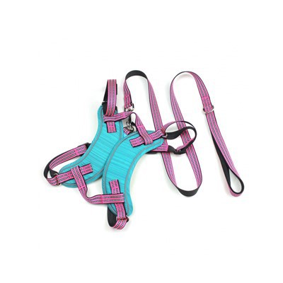 Zestaw szelek i smyczy dla psa bez ciągnięcia