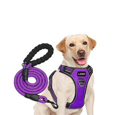 Spersonalizowane logo Zestaw szelek i smyczy dla psa z logo