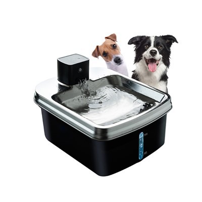 Inteligentna fontanna dla psa