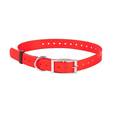 Obroża dla psa pokryta TPU